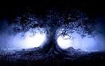 Desktop Wallpaper · Gallery · Computers · Blue Tree | Free ...