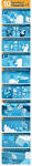 Special Reports | Internet Innovation Alliance