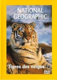 http://t3.gstatic.com/images?q=tbn:ANd9GcSGP074RwKFZVBEGPzHu1wYNGtMUNufwNiKWu9S9pwtlbtWFm8v