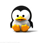 pingouin