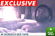 anne heche sex tape
