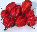 Seriously HOT Salsa | Ogden Utah Restaurant - Sonora Grill - Best ...