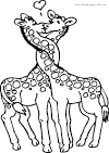 Giraffe coloring page