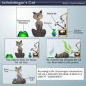 HowStuffWorks "The Copenhagen Interpretation"