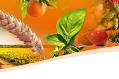 Agricultural Products,Agro Products,Agricultural Product suppliers,