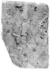 Fingerprints of The Gods - 00