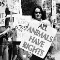 Ethics of Eating Animals – Animal Rights | The Lovely Locavore ...
