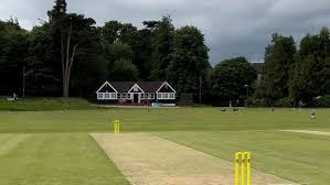 Image result for ifield cricket club