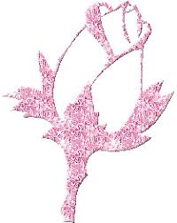 images?q=tbn:ANd9GcSIdeJU7cqwVUzupgdojJfB-nZH59kQS3M4twjBf9dIAy92Q6jmCw