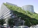 Roofing | Building Green Solutions Now