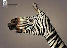 The 32 Most Creative WWF Ads | Creative Guerrilla Marketing