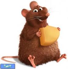 Bildergebnis für ‫سگ واقی وکربه واقی‬‎