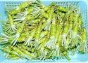 Wasabi Cracked