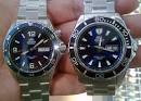 Which Orient watches are these?