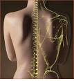 Family Chiropractic Center - Quality care from people who care!