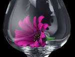 daisy glass art (daisy glass - via Daymix