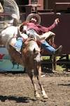 Animal Rights Group Upset at College Rodeo | Sheridan Media ... 