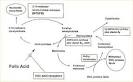 Abstract: Homocysteine metabolism in children with Down syndrome
