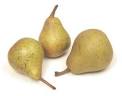 Cook's Thesaurus: Pears