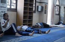 images?q=tbn:ANd9GcSJtNLrCbRFjSCbvssUT5UCujUayLgbdKPP1kG6sUO_s67hJiN8