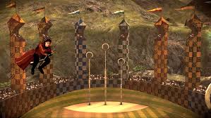 Image result for quidditch