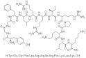 Dynorphin A (1-13), 72957-