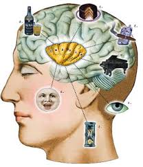 external image images?q=tbn:ANd9GcSKN63OKXmOL7mnqGdIhJWZaX7xmZYAOThckC-FIi-TLcc29wRa