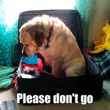 images?q=tbn:ANd9GcSKW-YOz4FwSFnGUgt82zW