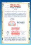Atharva Veda Pratishakhya - Reading the Vedic Literature in Sanskrit