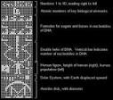 Arecibo Message