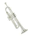 Welcome to The Horn Section