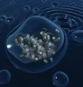 Life, Unbounded: Protein universe