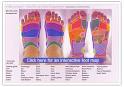 Free interactive reflexology maps & widget - Things to do - DK Books