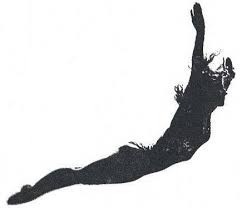 Image result for Ace of Clubs Trampolining