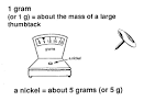 Metric System Info
