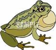 A Bull Frog Croaking - Royalty Free Clipart Picture