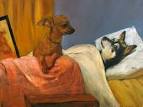 Dogs