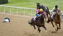 Fatality mars Breeders' Cup Distaff - USATODAY.