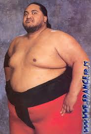 images?q=tbn:ANd9GcSLaRwUoZF7wJyYr7NbhIOPYSIcNVAL7Qio2kFTtQiiUR7UptUvww