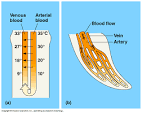 Temp regulation outline