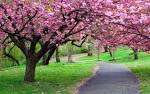 45+ Most Wanted Beautiful SPRING Wallpapers | Stylonica