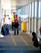 Australian Quarantine and Inspection Service - Wikipedia, the free ...