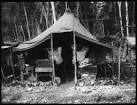 WWII U.S. Army General Hospital in New Guinea | HSLS