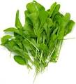 ARUGULA & Mint Pesto