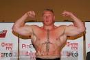 Brock Lesnar vs. Alistair Overeem – 5 Rounds – December 30, 2011 ...