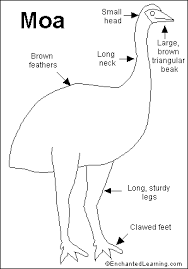 external image images?q=tbn:ANd9GcSMwM9uNMwJK3YfB12hXlT944KSeovOFJg-ZzFt5Ai52jIX4bs3JA