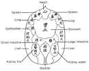 Zen Shiatsu: The Legacy of Shizuto Masunaga