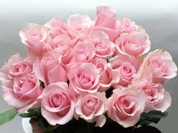 images?q=tbn:ANd9GcSN4Cb7USi8MBfappV5RYZHrDzBpyLfWxCpjNUiigMPmr9Q2TfPjQ