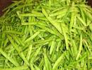 File:Cluster bean-guar-Cyamopsis psoralioides-Cyamopsis ...