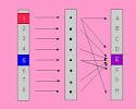 Botany online: Prospects For New Developments - Genotype -